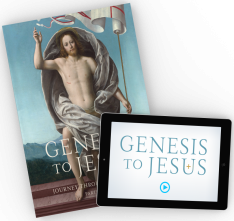 Genesis to Jesus Participant Workbook Bundle